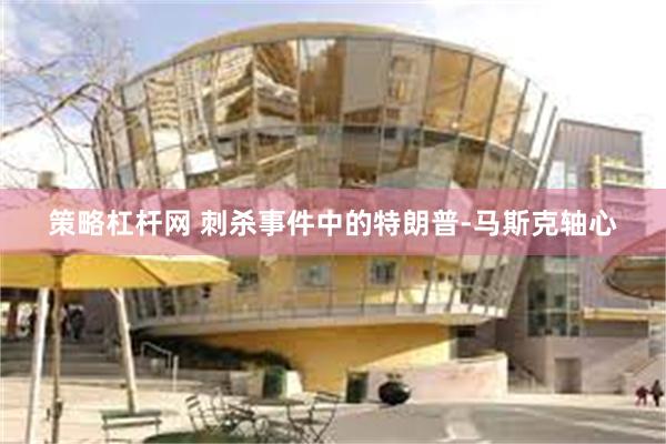 策略杠杆网 刺杀事件中的特朗普-马斯克轴心
