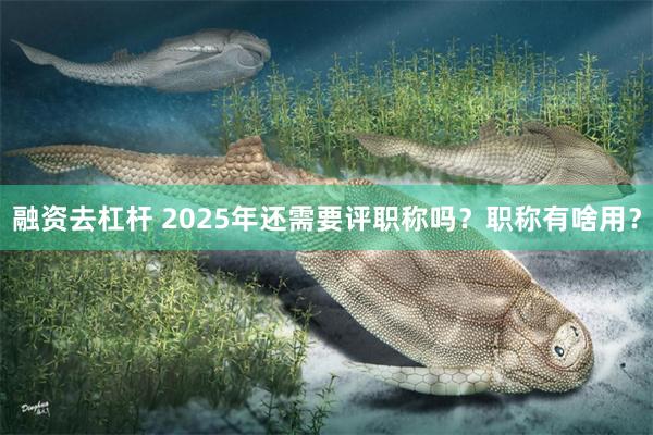 融资去杠杆 2025年还需要评职称吗？职称有啥用？