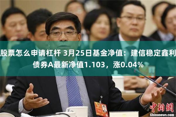 股票怎么申请杠杆 3月25日基金净值：建信稳定鑫利债券A最新净值1.103，涨0.04%