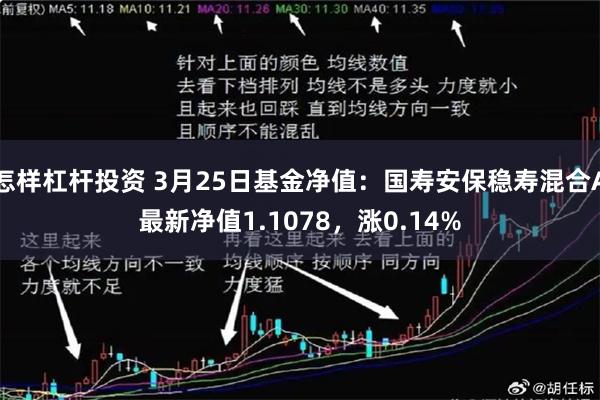 怎样杠杆投资 3月25日基金净值：国寿安保稳寿混合A最新净值1.1078，涨0.14%