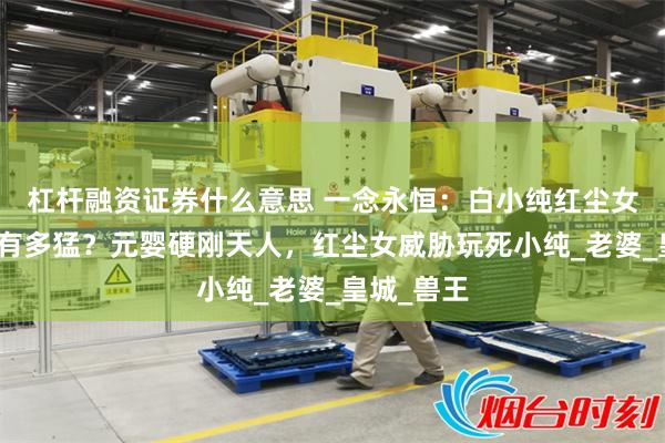 杠杆融资证券什么意思 一念永恒：白小纯红尘女打情骂俏有多猛？元婴硬刚天人，红尘女威胁玩死小纯_老婆_皇城_兽王