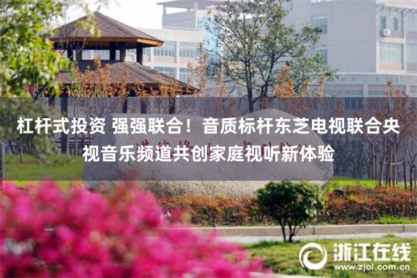 杠杆式投资 强强联合！音质标杆东芝电视联合央视音乐频道共创家庭视听新体验