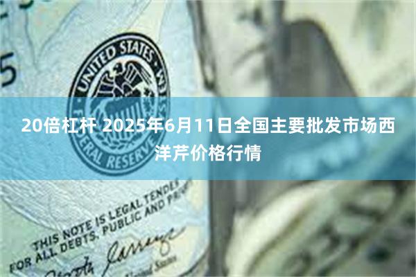 20倍杠杆 2025年6月11日全国主要批发市场西洋芹价格行情