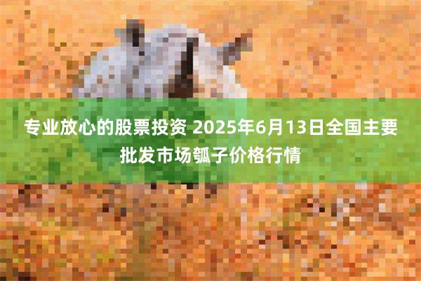 专业放心的股票投资 2025年6月13日全国主要批发市场瓠子价格行情