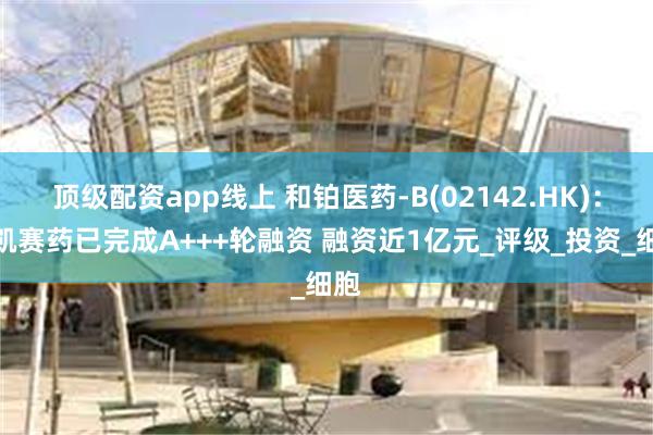 顶级配资app线上 和铂医药-B(02142.HK)：恩凯赛药已完成A+++轮融资 融资近1亿元_评级_投资_细胞