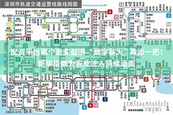 配资平台哪个是实盘的 “数字薪火”再添一把！新华指数为农业注入持续动能